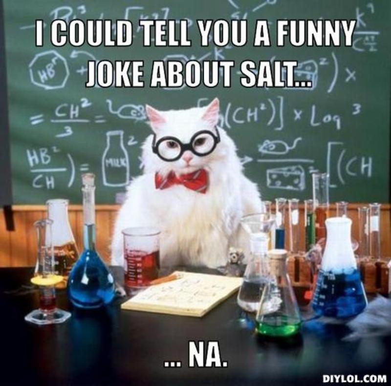 resized_chemistry-cat-meme-generator-i-could-tell-you-a-funny-joke-about-salt-na-15a059.jpg